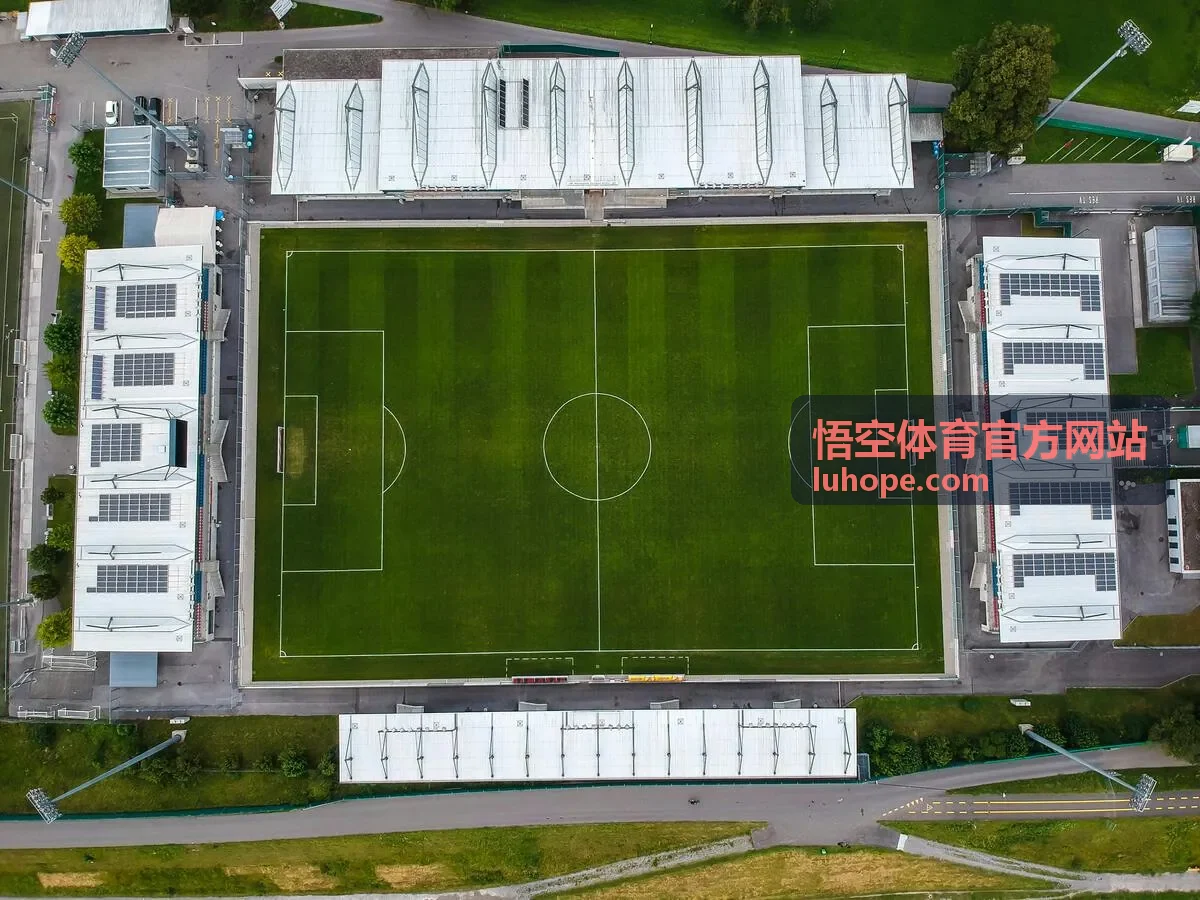 悟空体育官方网站赛事竞技板块