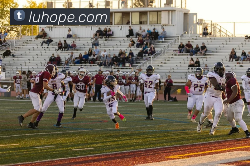 爱游戏体育 官网品牌故事